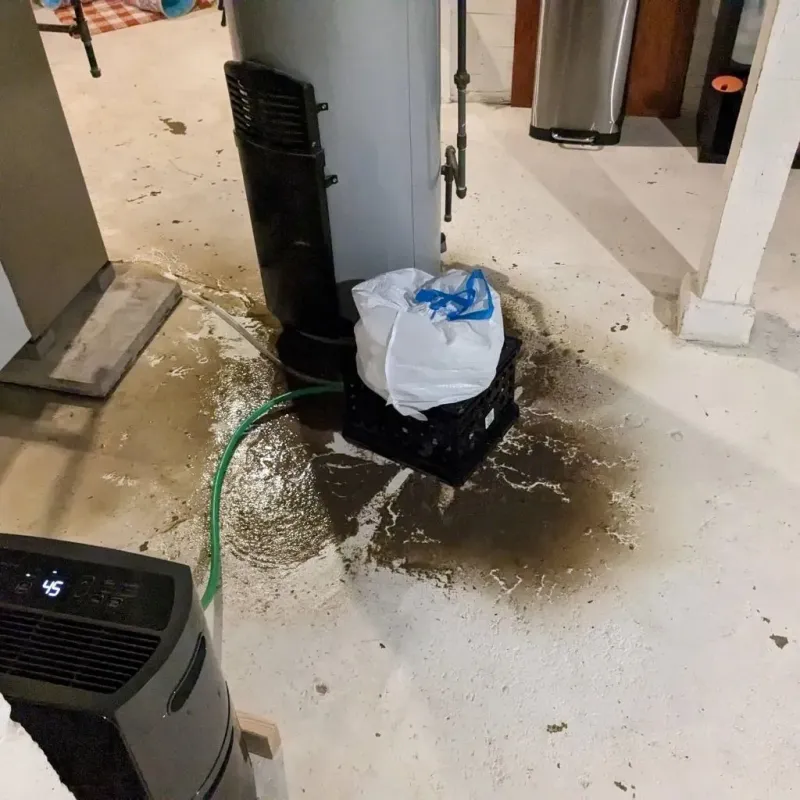 Sewage Backup Cleanup Service in Boerne, TX